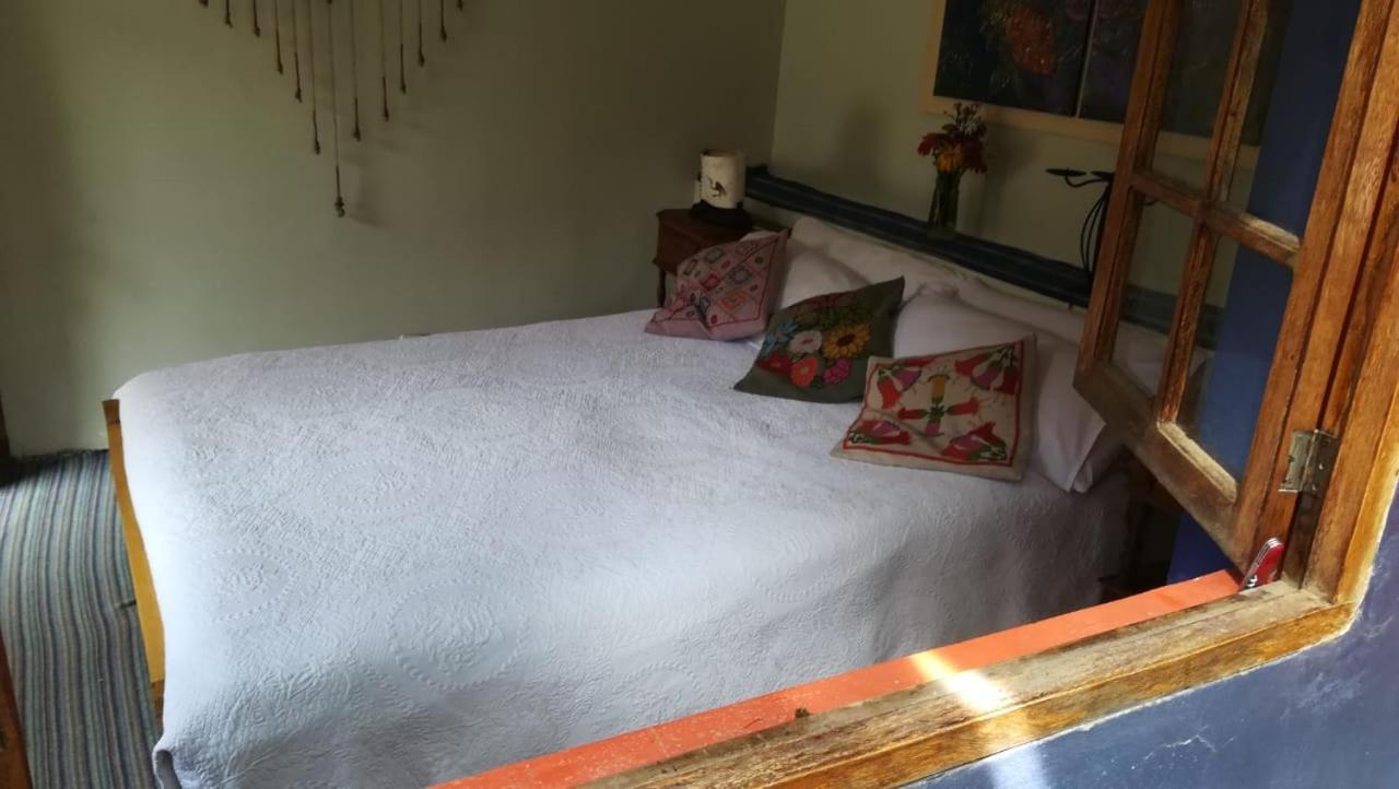 プーノ Casa Panqarani Bed & Breakfast エクステリア 写真