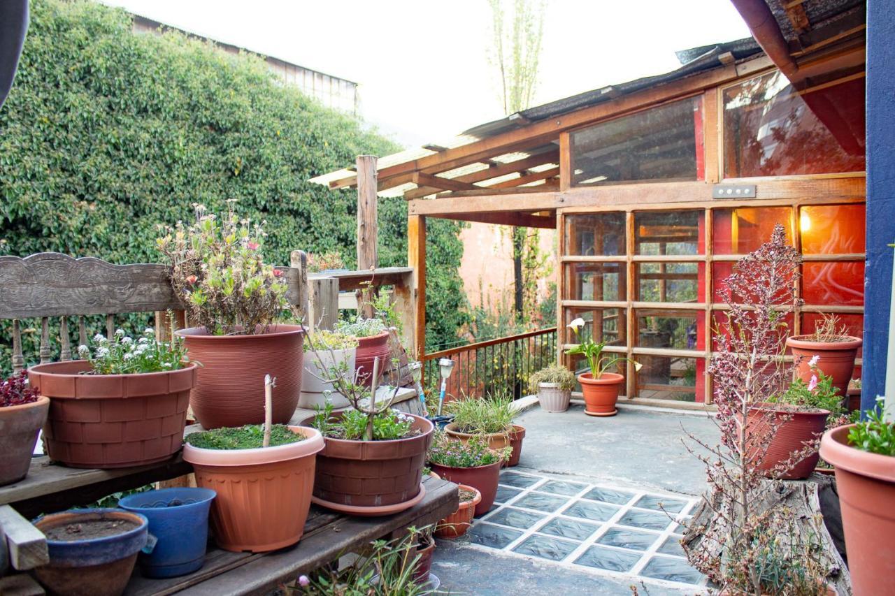 プーノ Casa Panqarani Bed & Breakfast エクステリア 写真